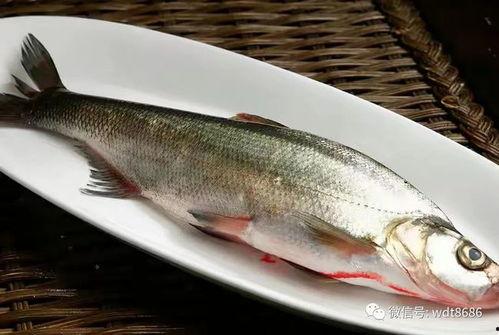 鱼爪吃瓜大赛,瓜界巅峰对决！