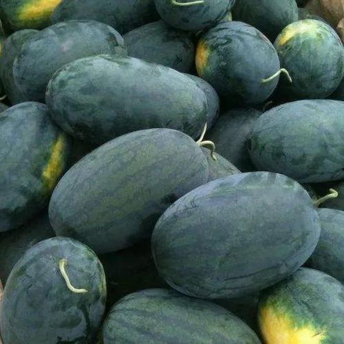 湖北鄂州父女吃瓜,传承家庭温馨时光