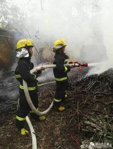 砀山吃瓜跳楼,一场悲剧引发的反思与警示