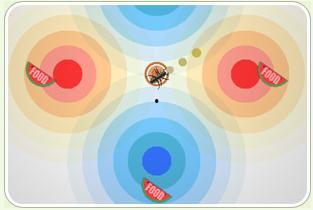 蚂蚁吃瓜简笔画,趣味简笔画中的生态小故事