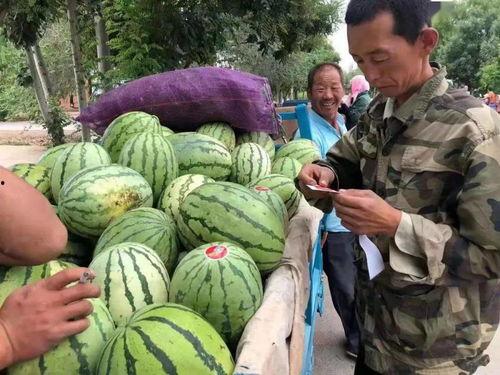 金昌大爷吃瓜事件,一场引发全民热议的网络狂欢