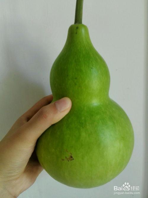 葫芦瓜怎么样吃,探索健康美味的烹饪新境界