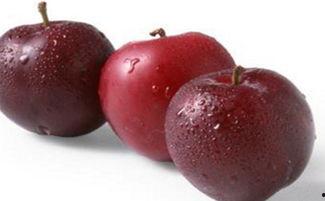 李子瓜怎么吃,解锁夏日清新美味