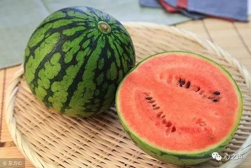 吃隔夜瓜小肠被切,警惕食物安全风险