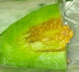 大南白瓜吃老吃,回味无穷的美食传奇