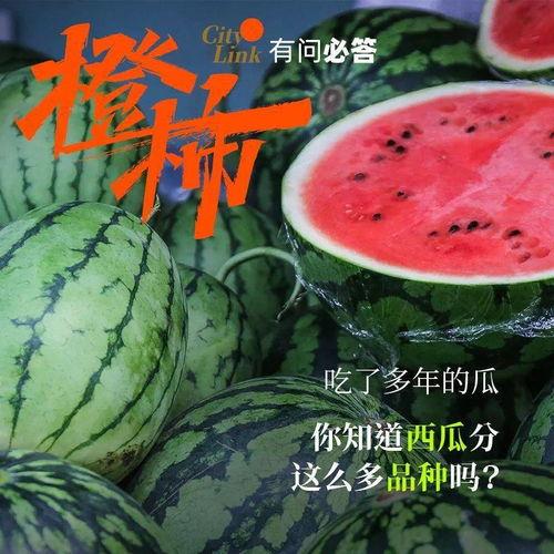 为何 都爱 吃瓜,为何全民皆爱“吃瓜”现象背后的心理动因
