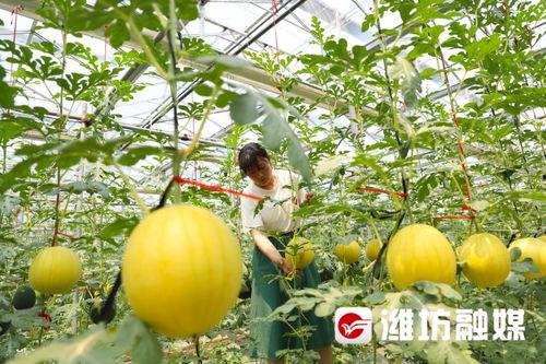 潍坊火车吃瓜,潍坊火车上的独特“吃瓜”体验