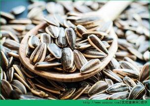 吃瓜吃瓜子广告,瓜子飘香——尽享吃瓜吃瓜子广告带来的味蕾盛宴