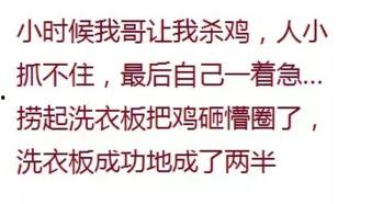 没有看懂吃瓜群众,揭秘“吃瓜群众”看不懂的幕后真相