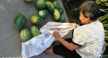 湖南附近吃瓜事件最新,揭秘背后真相与网络舆论风暴