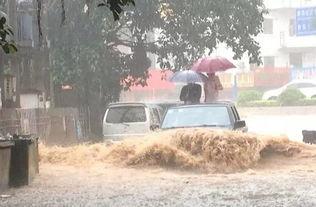 深圳大暴雨吃瓜