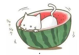 吃瓜转转球,揭秘网红游戏的魅力与争议