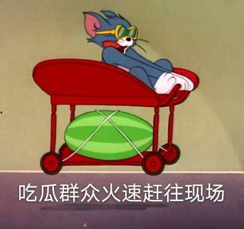 吃瓜跷跷板,揭秘娱乐圈的舆论风向标