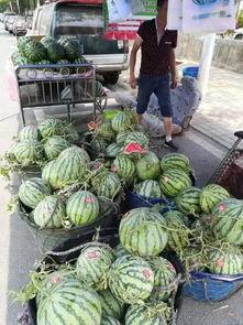 武汉金融吃瓜事件