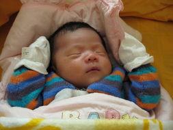 吃瓜崽崽,揭秘娱乐圈幕后故事