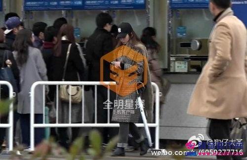 张云龙吃瓜群众,吃瓜群众的娱乐盛宴 第1张 张云龙吃瓜群众,吃瓜群众的娱乐盛宴 第1张