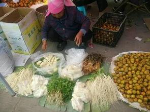 早餐店吃瓜,一瓜在手，早餐不愁  第1张