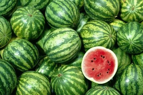 吃瓜资源蘑菇tV,吃瓜资源新天地，带你畅游娱乐海洋  第3张