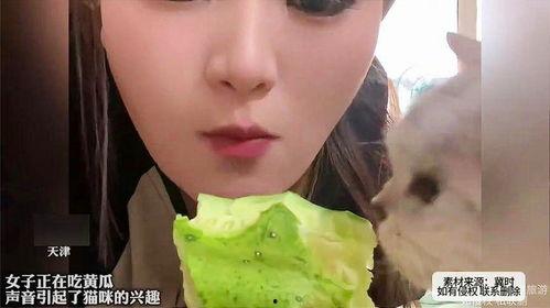 女人吃瓜,揭秘网络八卦背后的社会现象  第1张