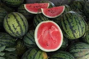 入夏吃瓜群众,吃瓜群众欢乐多  第3张